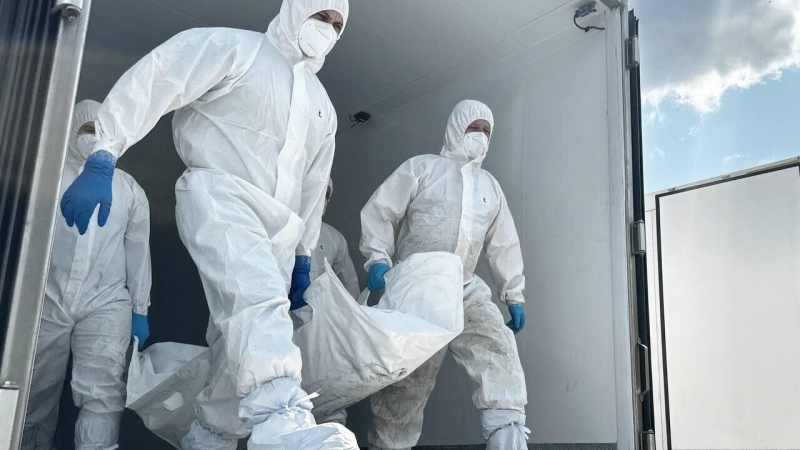 Россия передаст Украине еще 3000 тел солдат ВСУ, сообщил источник