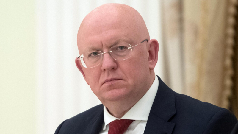 Небензя прокомментировал обвинения в похищении Россией украинских детей