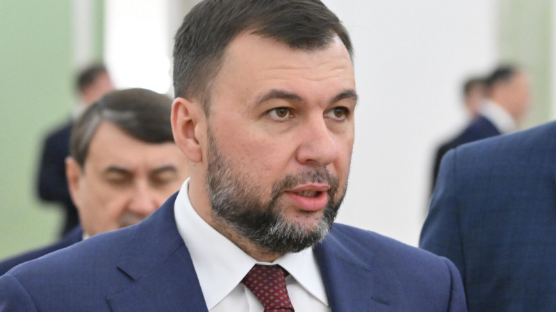 Пушилин рассказал об уголовных делах против организации "Белый ангел"