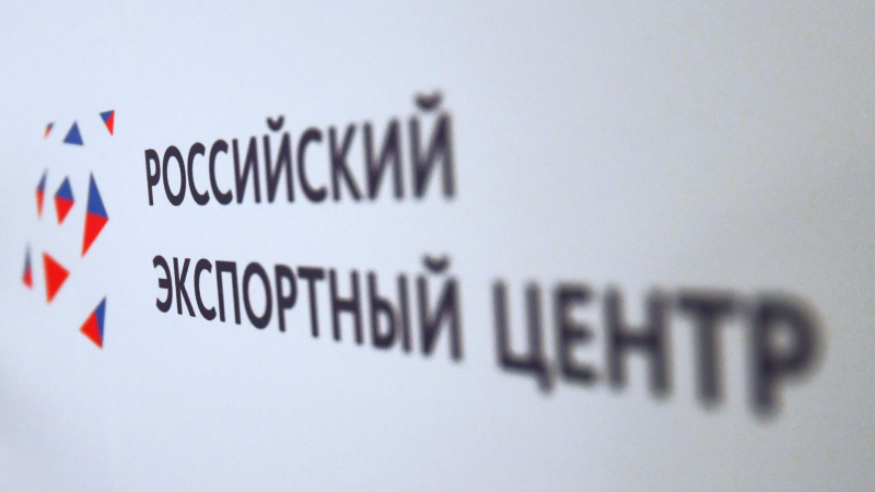 РЭЦ подвел итоги внедрения Регионального экспортного стандарта в 2024 году